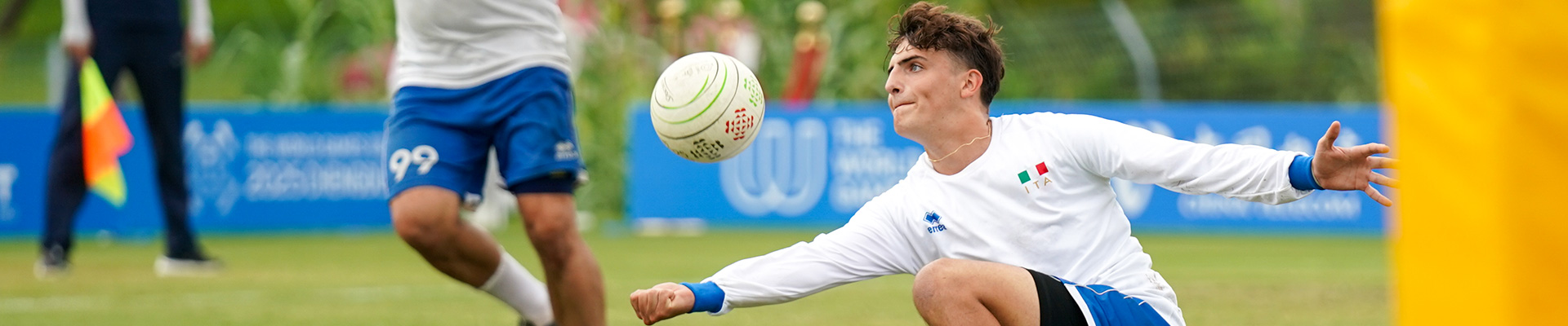 Faustball
